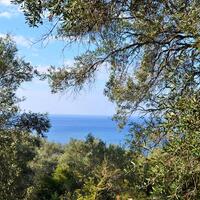 Island in Greece, Ionian Islands, Corfu, 7606 sq.m.