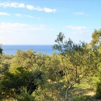 Island in Greece, Ionian Islands, Corfu, 7606 sq.m.