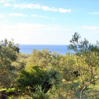Island in Greece, Ionian Islands, Corfu, 7606 sq.m.