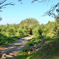 Island in Greece, Ionian Islands, Corfu, 7606 sq.m.