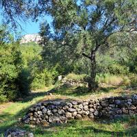 Island in Greece, Ionian Islands, Corfu, 7606 sq.m.