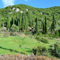 Island in Greece, Ionian Islands, Corfu, 15000 sq.m.