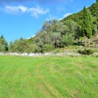 Island in Greece, Ionian Islands, Corfu, 15000 sq.m.