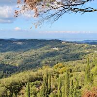 Island in Greece, Ionian Islands, Corfu, 15000 sq.m.