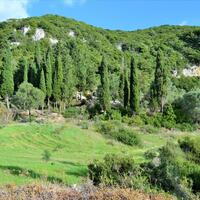 Island in Greece, Ionian Islands, Corfu, 15000 sq.m.