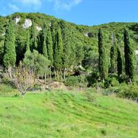 Island in Greece, Ionian Islands, Corfu, 15000 sq.m.