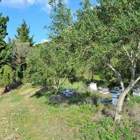Island in Greece, Ionian Islands, Corfu, 15000 sq.m.