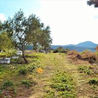 Island in Greece, Ionian Islands, Corfu, 15000 sq.m.