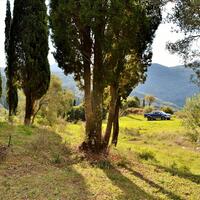 Island in Greece, Ionian Islands, Corfu, 15000 sq.m.