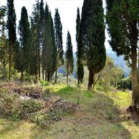 Island in Greece, Ionian Islands, Corfu, 15000 sq.m.