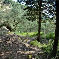 Island in Greece, Ionian Islands, Corfu, 15000 sq.m.