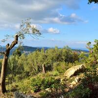 Island in Greece, Ionian Islands, Corfu, 15000 sq.m.