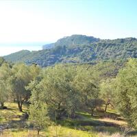 Island in Greece, Ionian Islands, Corfu, 8841 sq.m.