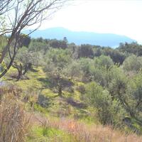 Island in Greece, Ionian Islands, Corfu, 8841 sq.m.