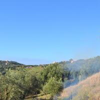 Island in Greece, Ionian Islands, Corfu, 8841 sq.m.