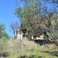 Island in Greece, Ionian Islands, Corfu, 8841 sq.m.