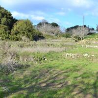 Island in Greece, Ionian Islands, Corfu, 1670 sq.m.