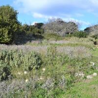 Island in Greece, Ionian Islands, Corfu, 1670 sq.m.