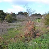 Island in Greece, Ionian Islands, Corfu, 1670 sq.m.