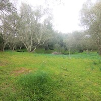 Остров в Греции, Ионические острова, Корфу, 4216 кв.м.