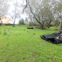 Остров в Греции, Ионические острова, Корфу, 4216 кв.м.