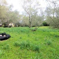 Остров в Греции, Ионические острова, Корфу, 4216 кв.м.