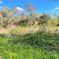 Остров в Греции, Ионические острова, Корфу, 4100 кв.м.