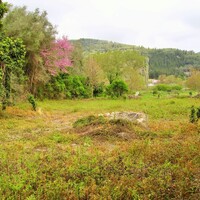 Остров в Греции, Ионические острова, Корфу, 14460 кв.м.