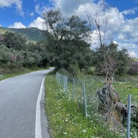 Island in Greece, Ionian Islands, Corfu, 1460 sq.m.