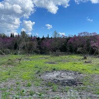 Island in Greece, Ionian Islands, Corfu, 1460 sq.m.
