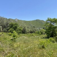 Island in Greece, Ionian Islands, Corfu, 1460 sq.m.