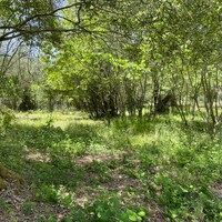 Island in Greece, Ionian Islands, Corfu, 1460 sq.m.