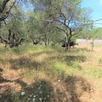 Island in Greece, Ionian Islands, Corfu, 10000 sq.m.