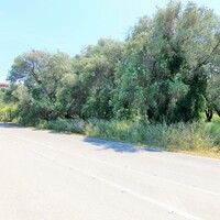 Island in Greece, Ionian Islands, Corfu, 2000 sq.m.