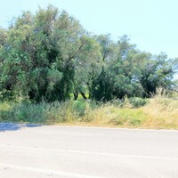 Island in Greece, Ionian Islands, Corfu, 2000 sq.m.