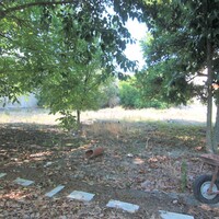 Остров в Греции, Ионические острова, Корфу, 1342 кв.м.