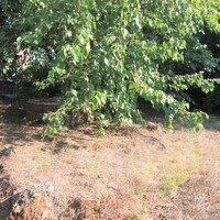Остров в Греции, Ионические острова, Корфу, 1342 кв.м.