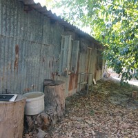 Остров в Греции, Ионические острова, Корфу, 1342 кв.м.