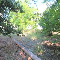 Остров в Греции, Ионические острова, Корфу, 1342 кв.м.