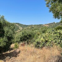 Остров в Греции, Ионические острова, Корфу, 5200 кв.м.