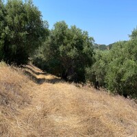 Остров в Греции, Ионические острова, Корфу, 5200 кв.м.