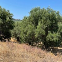 Остров в Греции, Ионические острова, Корфу, 5200 кв.м.
