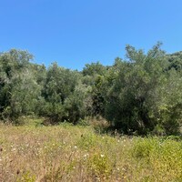 Остров в Греции, Ионические острова, Корфу, 11450 кв.м.