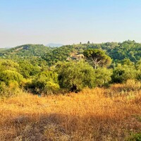 Island in Greece, Ionian Islands, Corfu, 21000 sq.m.