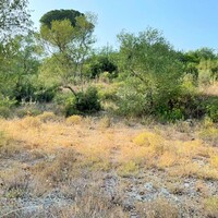 Island in Greece, Ionian Islands, Corfu, 21000 sq.m.