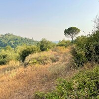Island in Greece, Ionian Islands, Corfu, 21000 sq.m.