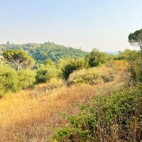 Island in Greece, Ionian Islands, Corfu, 21000 sq.m.