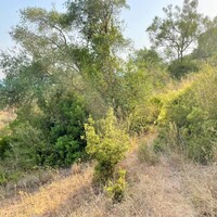 Island in Greece, Ionian Islands, Corfu, 21000 sq.m.