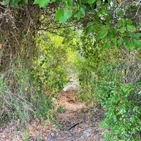 Island in Greece, Ionian Islands, Corfu, 21000 sq.m.