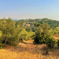 Island in Greece, Ionian Islands, Corfu, 21000 sq.m.